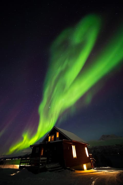 Property building, Night