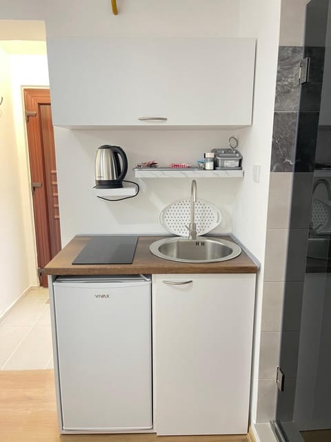 Coffee/tea facilities, Kitchen or kitchenette, minibar, stove