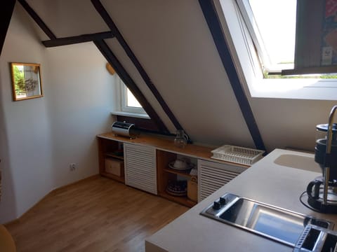 Kitchen or kitchenette, stove