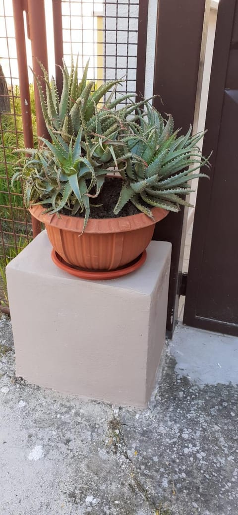 La Forosetta Guest House Apartment in Umbria