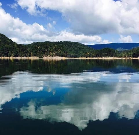 Cabin at the cove at Watauga Lake Cabin in Watauga Lake
