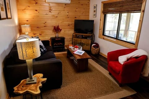 Cabin at the cove at Watauga Lake Cabin in Watauga Lake