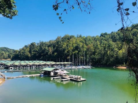 Cabin at the cove at Watauga Lake Cabin in Watauga Lake