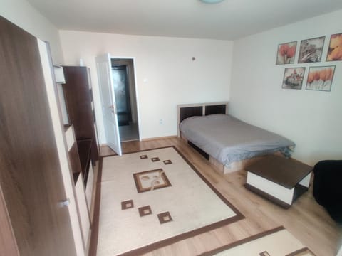 Eric's Cozy Apartment Apartment in Timisoara