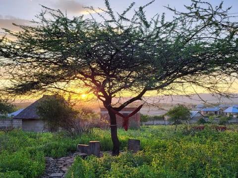 Natural landscape, Sunset