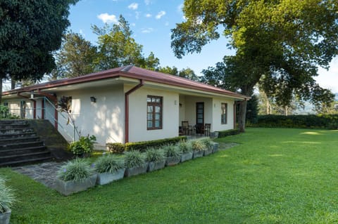 Property building, Garden