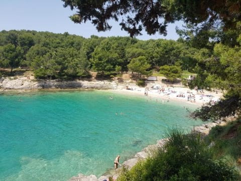 Beach, Beach