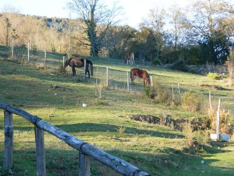 Casa Gruppetta House in Basilicata