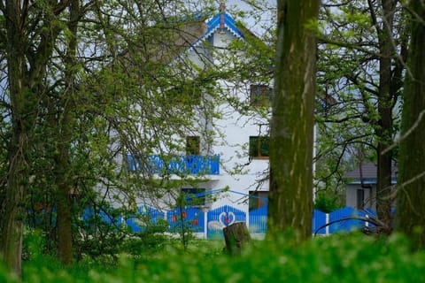 Property building, Spring, Day, Natural landscape, Garden, Garden view