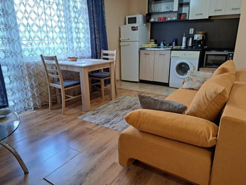 Kitchen or kitchenette, Living room, Seating area, Dining area, stove, washing machine