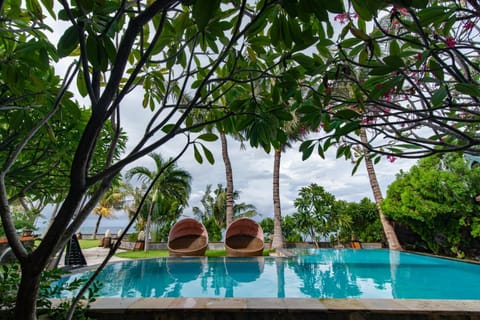 Garden, Pool view, Swimming pool, sunbed
