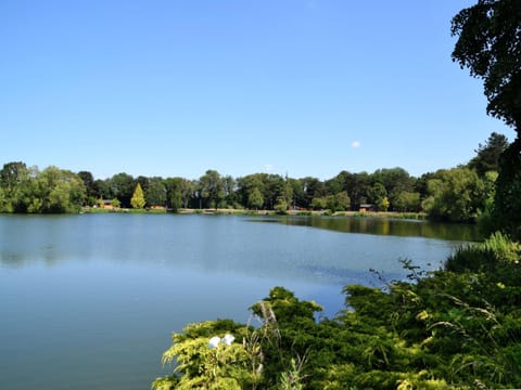 Property building, Lake view