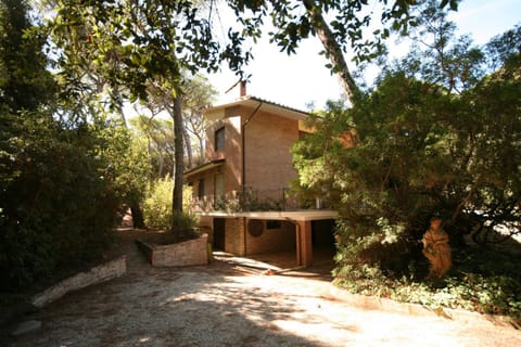 Property building, Garden, Garden view