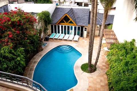 Patio, Garden, Garden view, Pool view, Swimming pool, Swimming pool