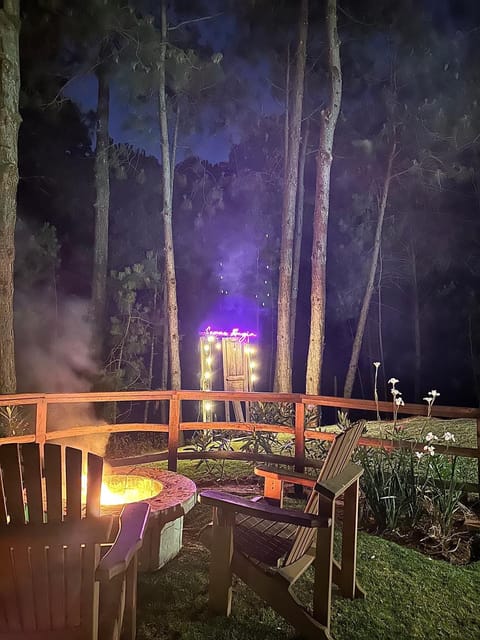 Evening entertainment