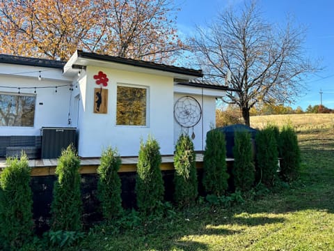 Property building, Garden, Garden view