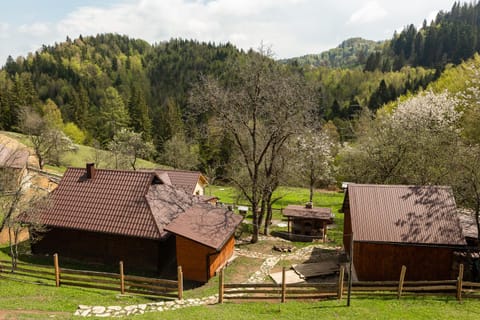 Property building, Natural landscape, Mountain view