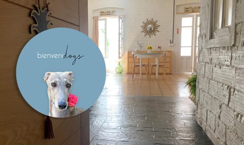 Lobby or reception, Pets