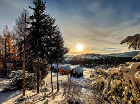 Property building, Natural landscape, Winter, Mountain view