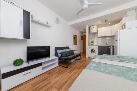 Bed, TV and multimedia, Kitchen or kitchenette, Photo of the whole room, fireplace, minibar