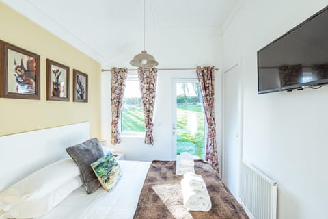 Bed, TV and multimedia, Photo of the whole room, Bedroom