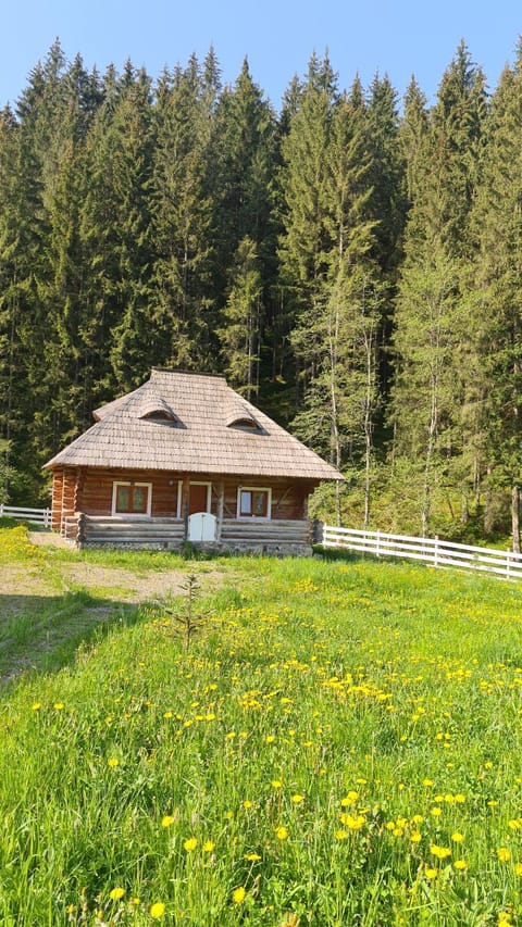 Property building, Spring, Garden