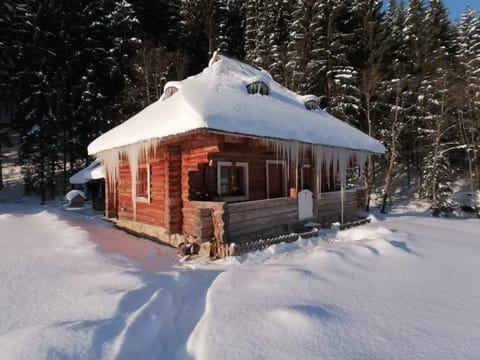 Property building, Natural landscape, Winter