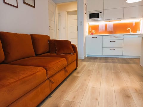 Kitchen or kitchenette, Living room, Seating area