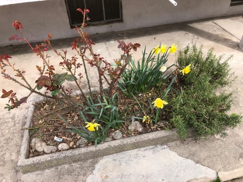 House vittone venaria reale 2 Apartment in Turin