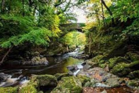 Nearby landmark, Natural landscape