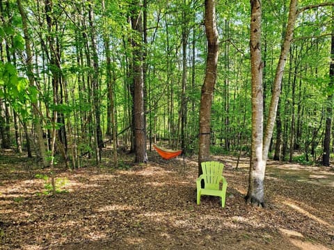 Cozy basement apartment Apartment in Fayetteville