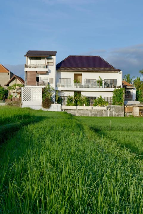 Day, Natural landscape, Garden view