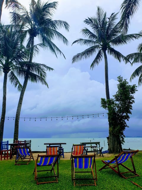 Beach, Sea view, sunbed