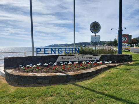 Empty Nest Apartment in Penguin