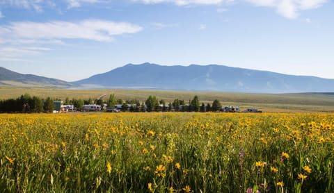 Natural landscape, Area and facilities