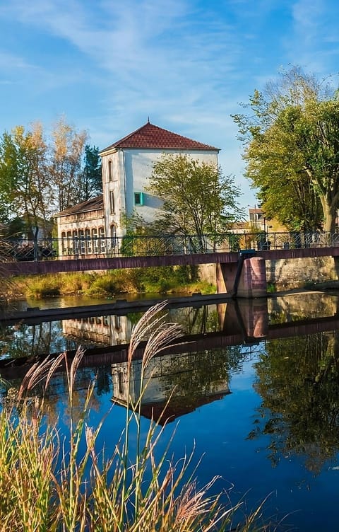 Property building, Spring, Day, Natural landscape, River view