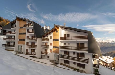 Property building, Winter