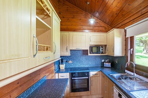 Kitchen or kitchenette, oven, stove, toaster