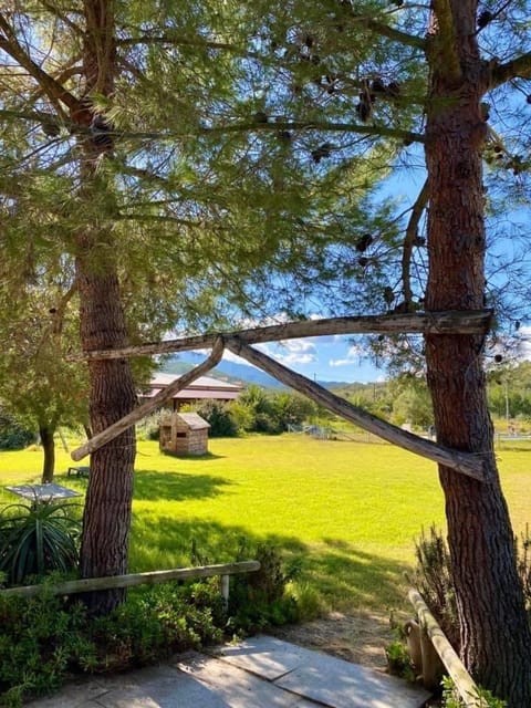 Day, Natural landscape, Garden