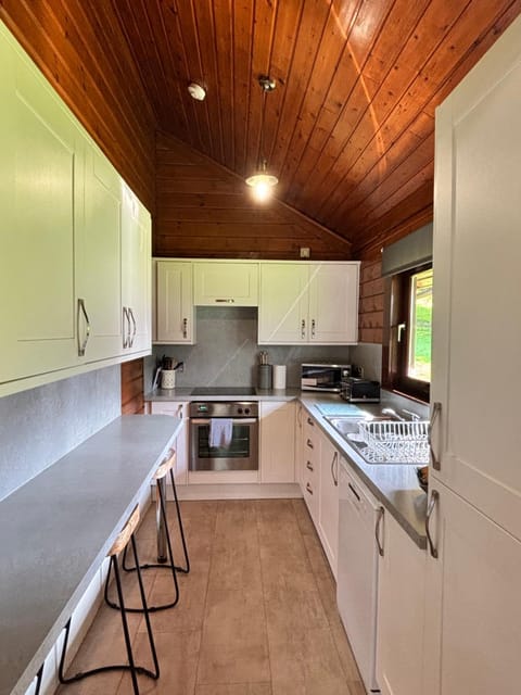 Kitchen or kitchenette, dishwasher, oven, stove