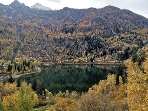Casa vacanza Miralago Apartment in Canton of Valais