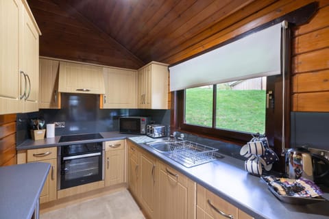 Kitchen or kitchenette, dishwasher, oven, stove, toaster