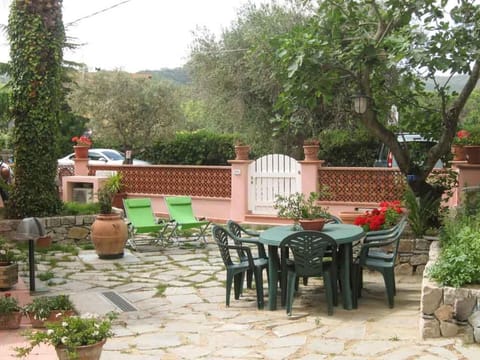 Patio, Garden, Garden view
