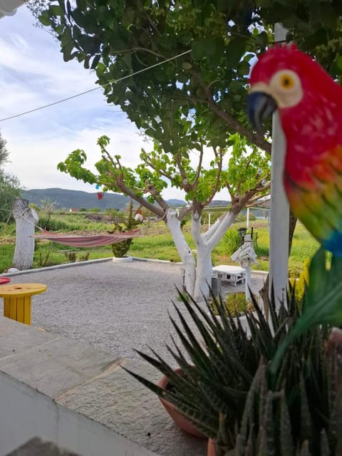 Spring, Day, Garden, Garden view