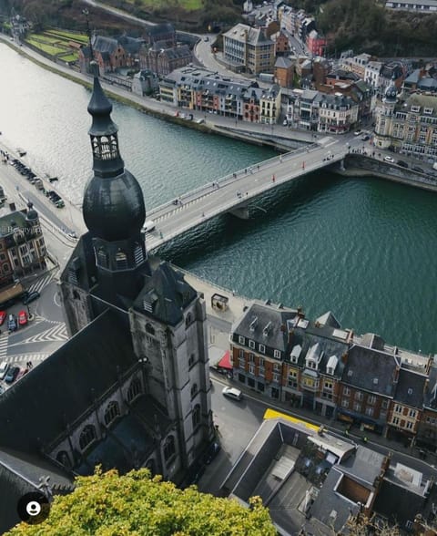 Maison fontaine du saxophone Apartment in Dinant