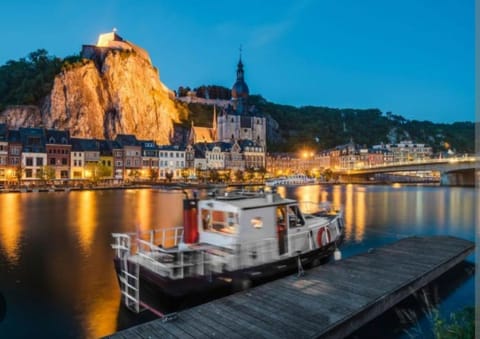 Maison fontaine du saxophone Apartment in Dinant