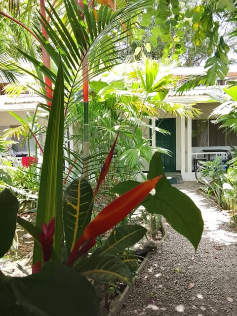 Facade/entrance, Garden