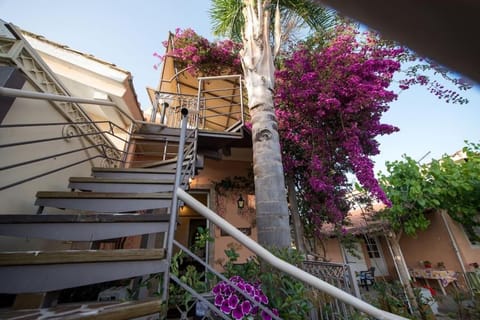 bougainvillea house 1 Apartment in Messenia
