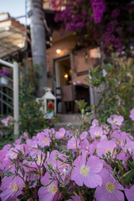 bougainvillea house 1 Apartment in Messenia