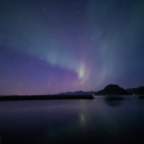 Lofoten Sunset & Ocean VIew Apartment in Lofoten